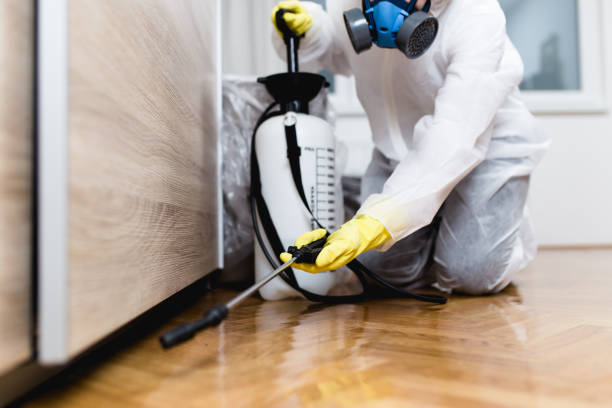 Best Best Pest Control Companies  in Sullivan, MO