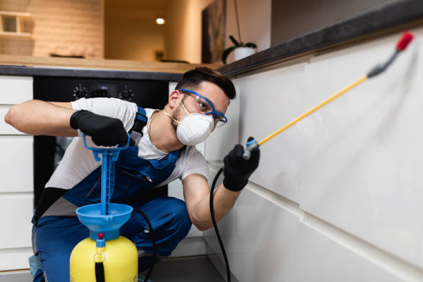 Best Pest Control Near Me  in Sullivan, MO