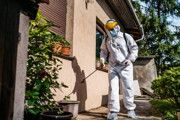 Best Residential Pest Control  in Sullivan, MO