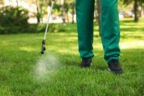 Trusted Sullivan, MO Pest Control Experts