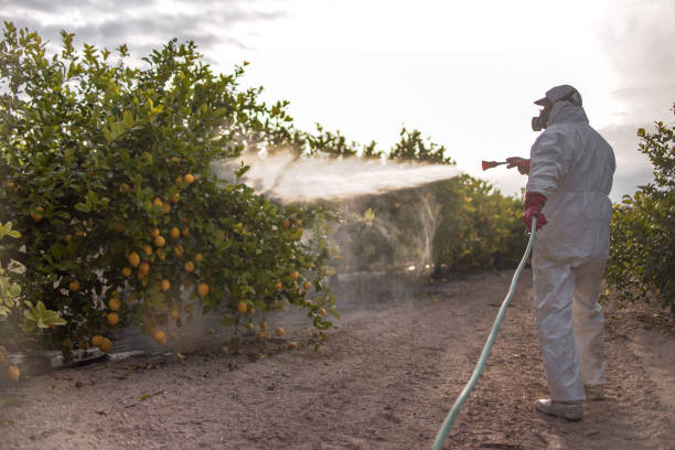 Best Cockroach Control Services  in Sullivan, MO
