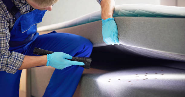 Best Local Pest Control Services  in Sullivan, MO
