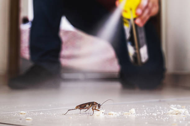 Best Affordable Pest Control Services  in Sullivan, MO