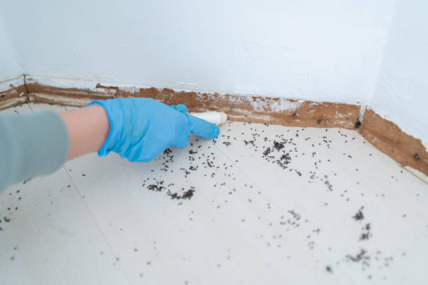 Best Commercial Pest Control Services  in Sullivan, MO